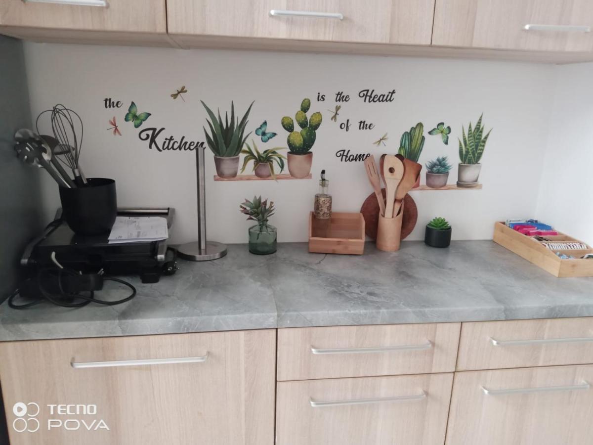 Grand Appartement Au Coeur De Štrasburk Exteriér fotografie